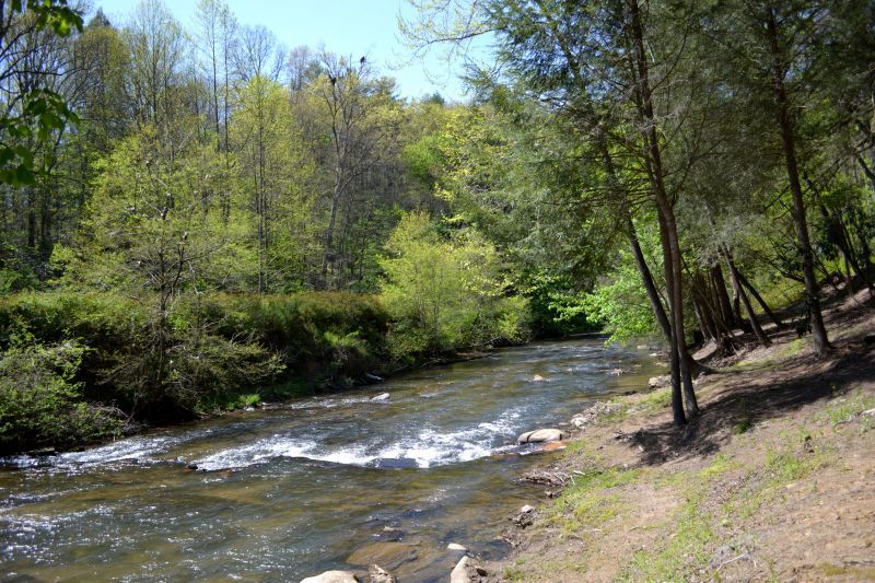Creektopia on Fightingtown Creek Cabin Rentals
